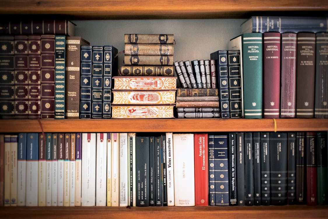 photograph of a bookshelf